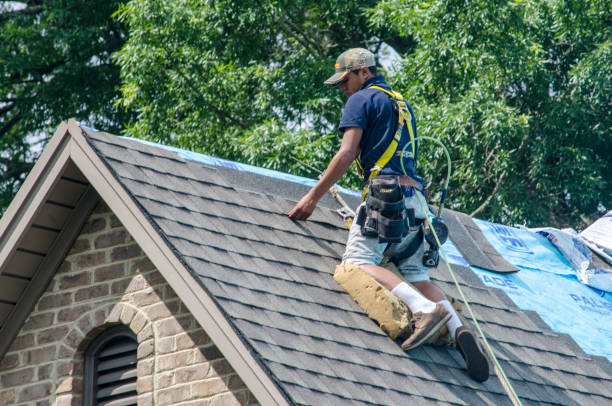 Best Roof Restoration Services  in Lmdale, PA
